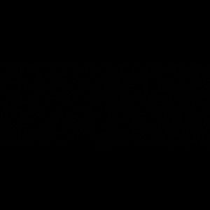 Authenticated & reviewed